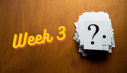 German Reunification Quiz – Week 3